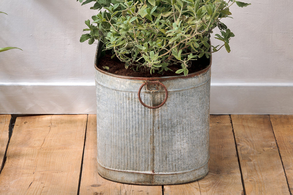 Jardinière Akasa Trough - Zinc