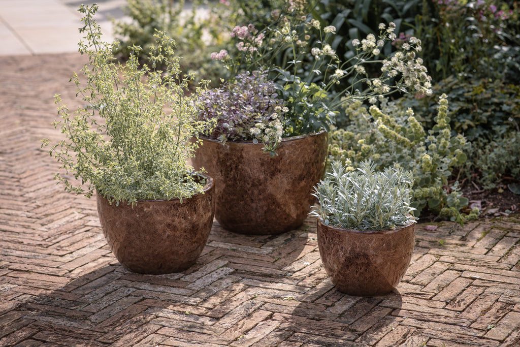 Pot de fleurs en terre cuite Dunai - Marron