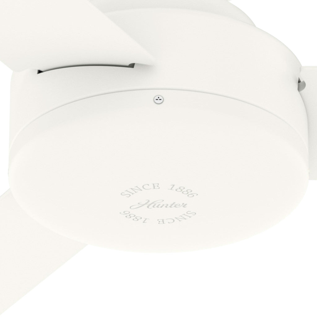 Pergola extérieure en acier de 3 m x 4 m, tonnelle avec trous de drainage pour terrasse, piscine et jardin.