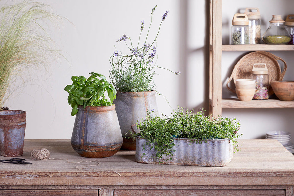 Plateau de jardinière d'extérieur Japos - Zinc vieilli