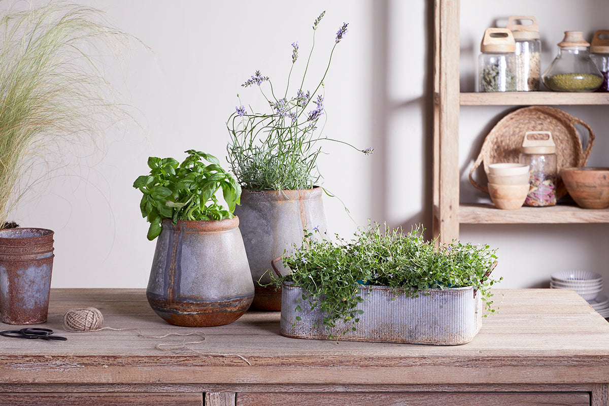 Plateau de jardinière d'extérieur Japos - Zinc vieilli