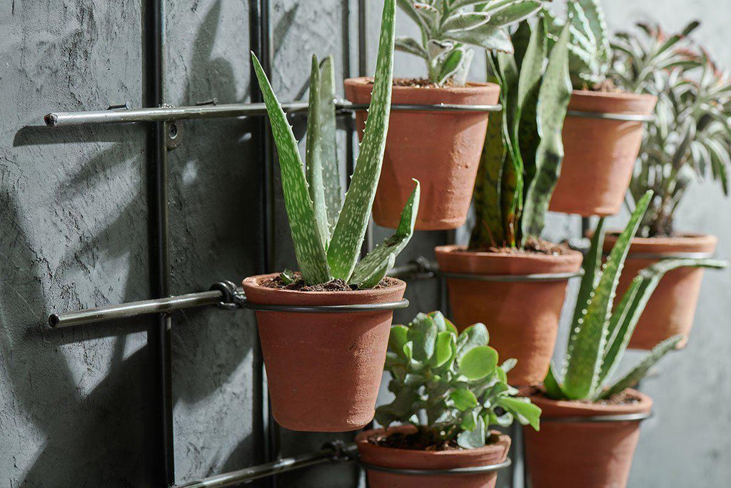 Jardinière murale Jara en terre cuite