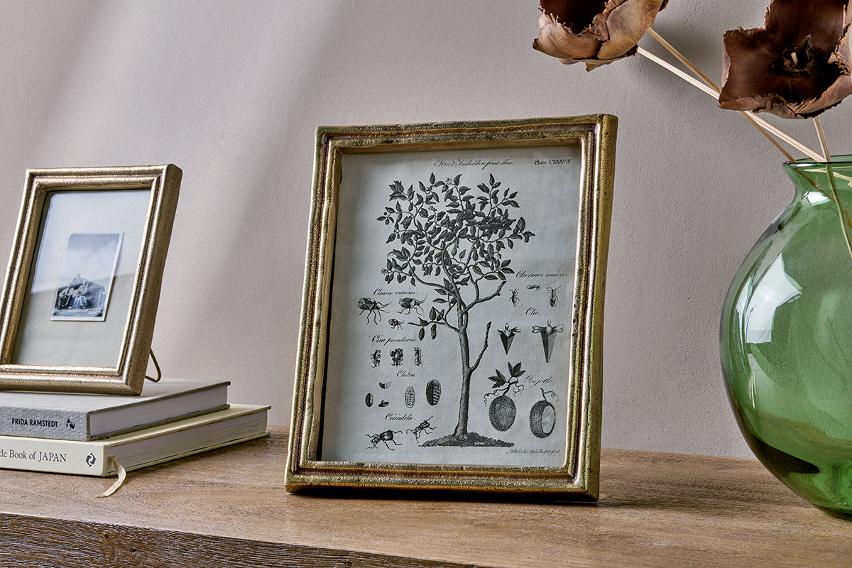 Cadre photo Pambani - Laiton antique